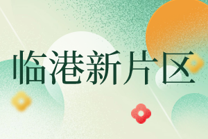 2023年上海臨港落戶政策，可以直接落戶！